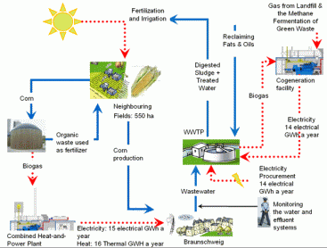 Sustainable sanitation concept (energy recovery and nutrient recycling) of the city of Braunschweig, Germany: The wastewater treatment plants covers its energy needs with the production of biogas from excess sludge combined with biogas recovered from landfills and green waste digestion. Agricultural plants, digesting energy crops (corn) produce biogas, which is transformed to combined heat and power which is fed into the grid of Braunschweig Source: VEOLIA WATER 2010